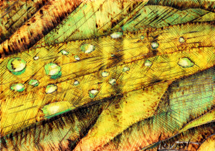 30 x 21 cm tableau_pyrogravure_inspire_la_rosee_bd