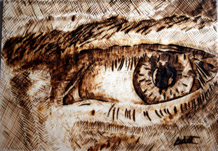30 x 21 cm tableau_pyrogravure_inspire_oeil_bd